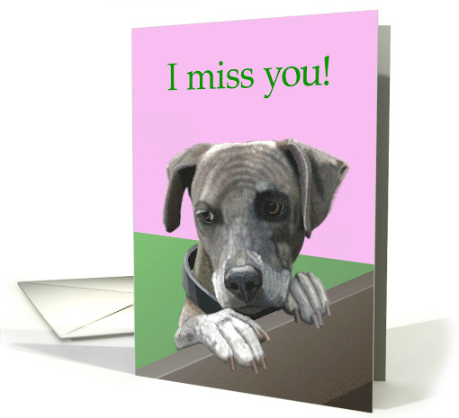 I Miss You--Sad Puppy Looking Over Fence card (1513084)