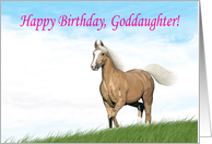 Cloud Palomino Birthday Card for Goddaughter card