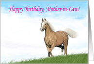Cloud Palomino Birthday Card for Mother-in-Law card