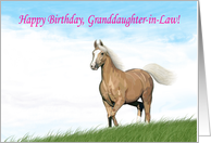 Cloud Palomino Birthday Card for Granddaughter-in-Law card