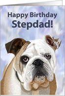 English Bulldog Puppy Birthday Card for Stepdad card
