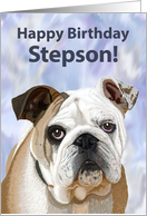 English Bulldog Puppy Birthday Card for Stepson card