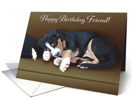 Naughty Puppy Sleeping--Birthday for Friend card (1514890)