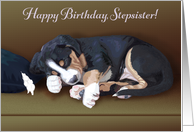 Naughty Puppy Sleeping--Birthday for Stepsister card