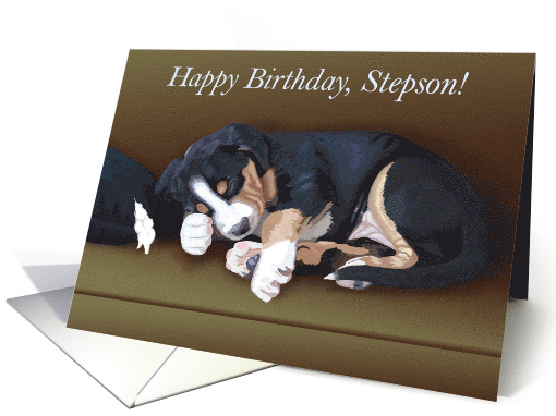 Naughty Puppy Sleeping--Birthday for Stepson card (1514988)