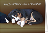 Naughty Puppy Sleeping--Birthday for Great Grandfather card