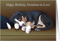 Naughty Puppy Sleeping--Birthday for Grandson-in-Law card