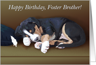 Naughty Puppy Sleeping--Birthday for Foster Brother card