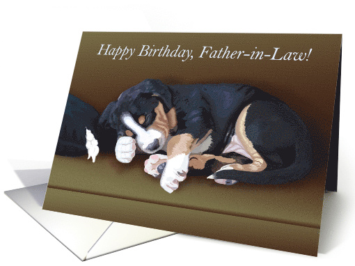 Naughty Puppy Sleeping--Birthday for Father-in-Law card (1515054)
