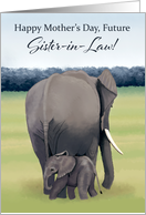 Mother and Baby Elephant--Mother’s Day for Future Sister-in-Law card