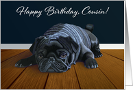 Black Pug Waiting for Playtime--Cousin Birthday card