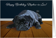 Black Pug Waiting for Playtime--Nephew-in-Law Birthday card