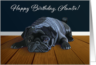 Black Pug Waiting for Playtime--Auntie Birthday card