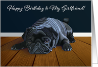 Black Pug Waiting for Playtime--Girlfriend Birthday card