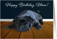 Black Pug Waiting for Playtime--Mom Birthday card