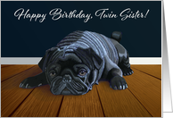 Black Pug Waiting for Playtime--Twin Sister Birthday card