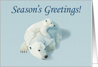 Polar Bear Mother and Cub--Season’s Greetings card