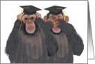 Chimpanzee Hear, See No Evil - Graduation Congratulations for Twins card