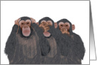 Chimpanzee Hear, See, Speak No Evil - Blank Note Card