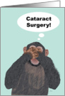 Chimpanzee See No Evil, cataract Surgery, Get Well Card