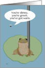 Fly Airing Grievances About a Frog Festivus card