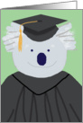 Graduation Congratulations, Koala Bear Humor Card
