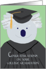 College Graduation Congratulations, Koala Bear Humor card