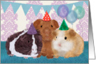 Guinea Pigs in Birthday Hats, Birthday Party Invitation card