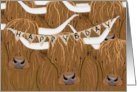 Scottish Highland Cow Happy Bday from the Herd card