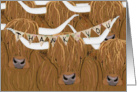 Thank You for Your Donation Featuring Scottish Highland Cows card