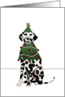 Dalmatian Christmas for Veterinarian card