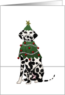 Dalmatian Christmas for Dog Walker card