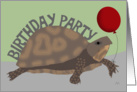 Birthday Party for Turtle Invitation card