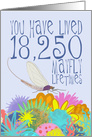 Mayfly 50th Birthday card