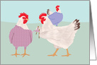 Chicken Knitting Blank Note card