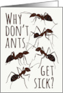 Ant Pun Get Well card