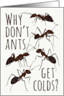 Ant Pun Get Well from a Cold card