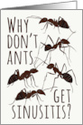 Ant Pun Get Well from Sinusitis card