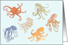 Illustration of Octopuses World Octopus Day card