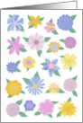 Colorful Drawn Flowers Blank Note card