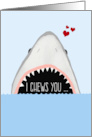 Funny Shark Romantic card