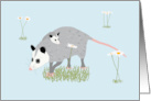 Opossum Gotcha Day, Adoption Anniversary card