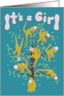 Spider Monkeys Monkey It’s a Girl card