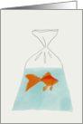 Goldfish in a Bag Blank Note card