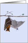 Bat and Spider Thank You for Your Help card