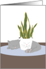 Cat Napping with Plant Blank card