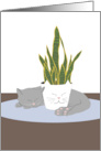 Cat Napping with Plant Love card