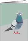 Pigeon with Newspaper Hat Blank card