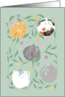 Cats Napping in Flower Garden Blank card