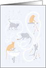 Cats Creating Chaos in the Bathroom card